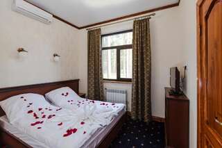 Отель Carivka Hotel Царивка Люкс с 1 спальней и диваном-кроватью-3