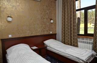 Отель Carivka Hotel Царивка Стандартный двухместный номер с 1 кроватью или 2 отдельными кроватями-1