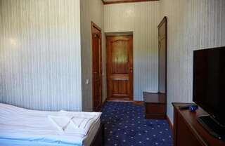 Отель Carivka Hotel Царивка Стандартный двухместный номер с 1 кроватью или 2 отдельными кроватями-14